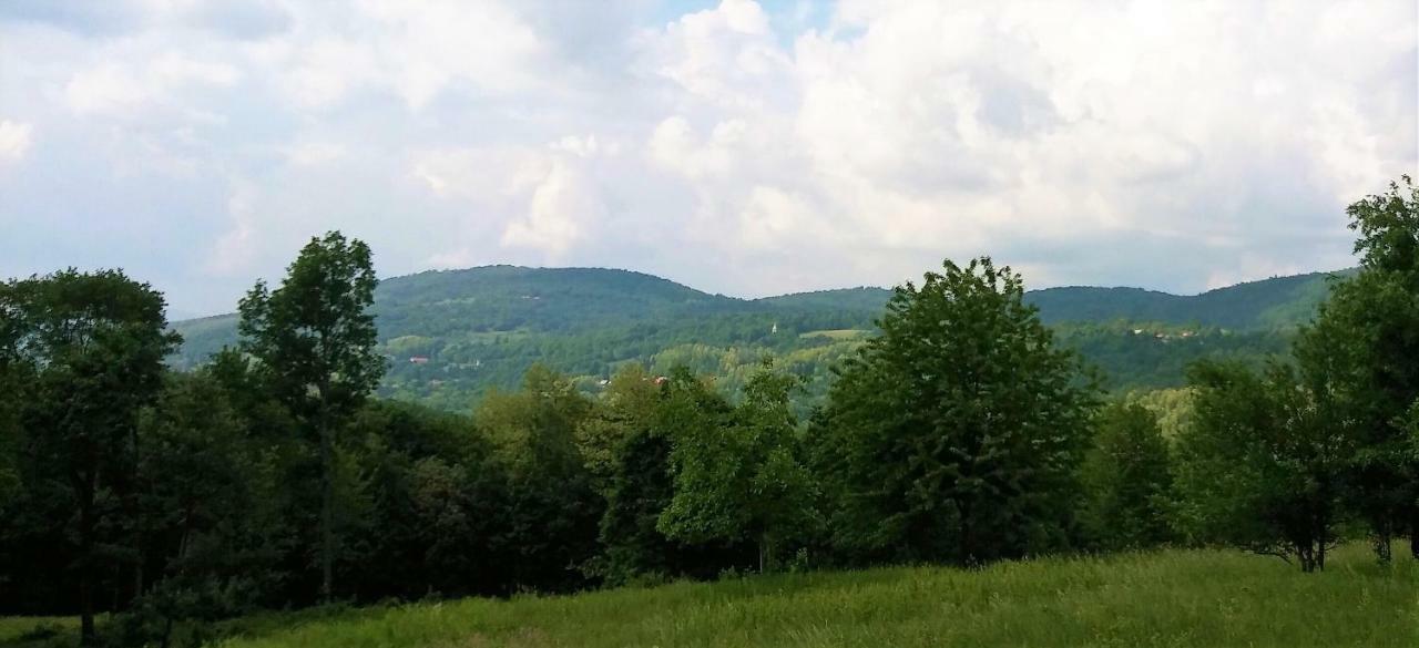 Vacation House Spiritus Flumine Netretic Εξωτερικό φωτογραφία